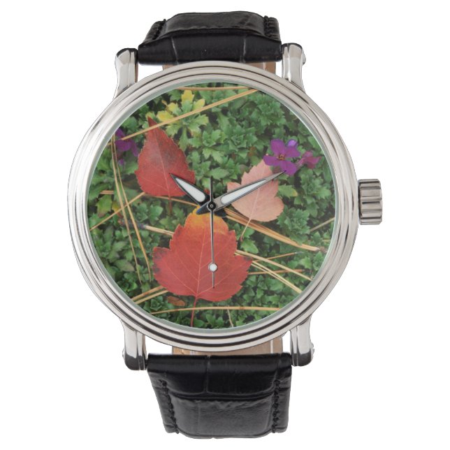 Montre États-Unis, Washington, comté de Spokane, Feuilles (devant)