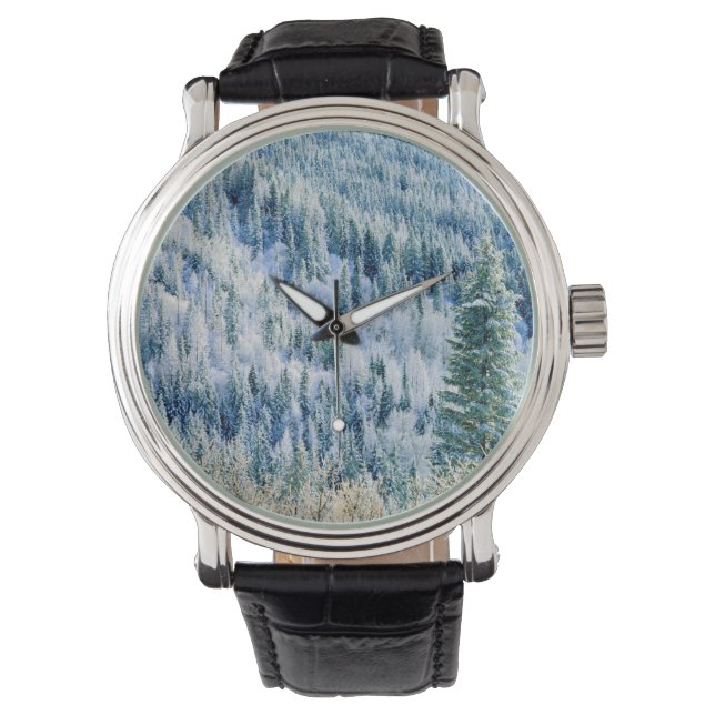 Montre États-Unis, Washington, Mt. Spokane State Park, As (devant)