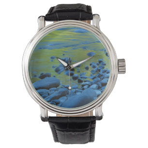Montre États-Unis, Washington, Parc national Olympique 4