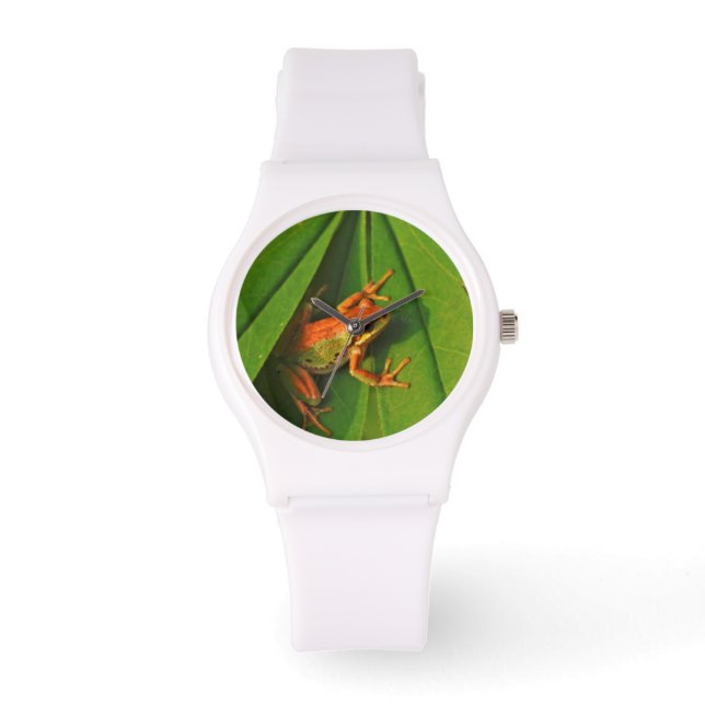 Montre États-Unis, Washington, Seattle, Discovery Park 2 (Recto)