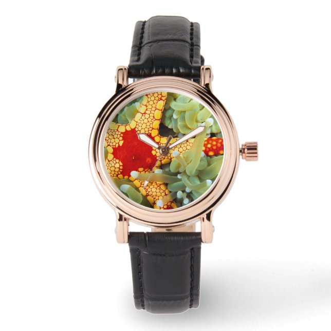 Montre Étoile de mer rouge et jaune (Recto)