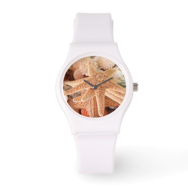Montre Étoiles de mer séchées vendues comme souvenirs 2 (Recto)