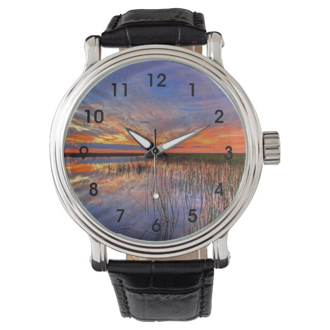 Montre Everglades colorés, Floride, (devant)