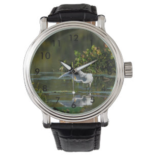 Montre Examen de l'aile Egret