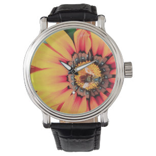Montre Extrême Gros Plan D'une Abeille Collectant Du Poll