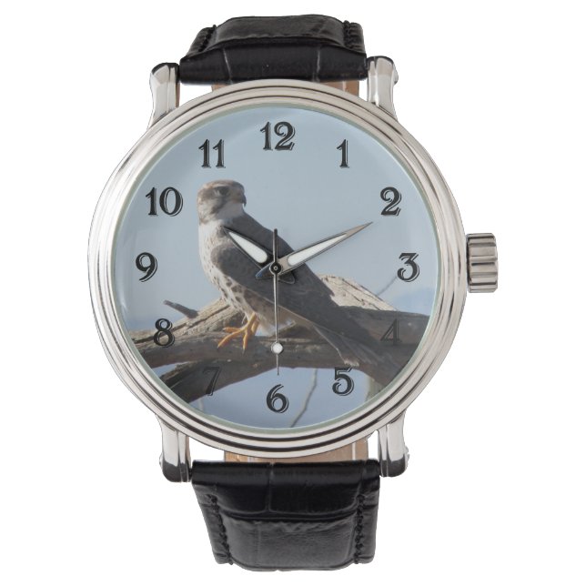 Montre Falcon des Prairies (devant)