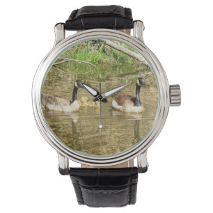 Montre Famille de bernaches du Canada