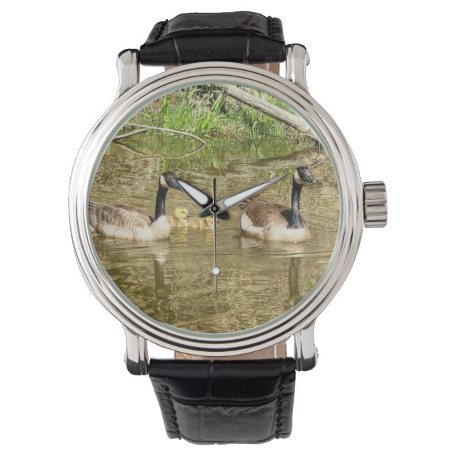 Montre Famille de bernaches du Canada (devant)