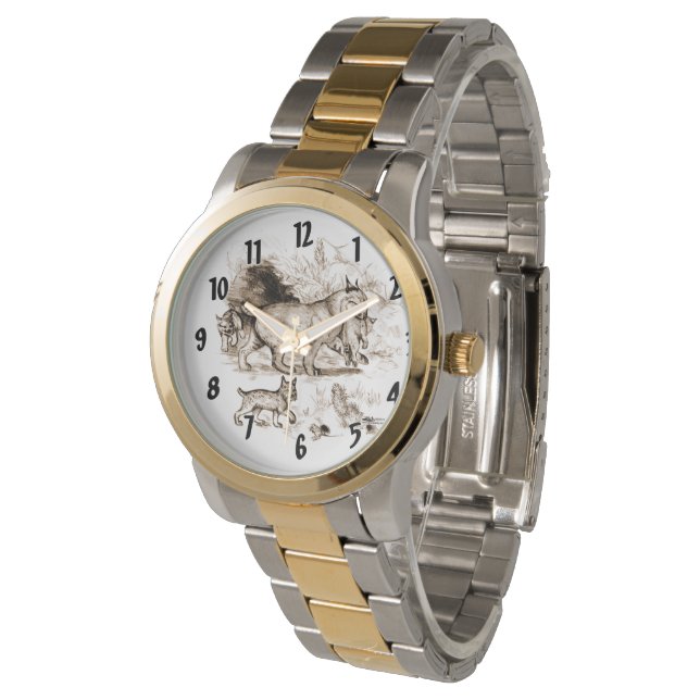 Montre Famille de Lynx roux (Incliné)