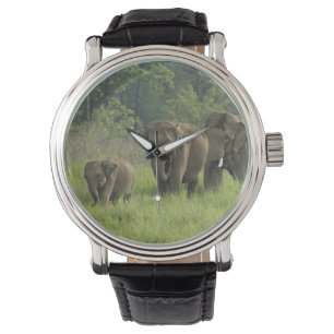 Montre Famille d'éléphants indiens