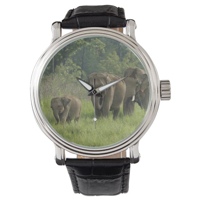 Montre Famille d'éléphants indiens (devant)
