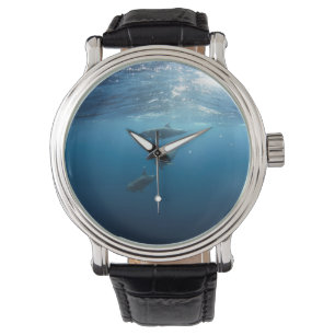 Montre Famille Dolphin sous-marine