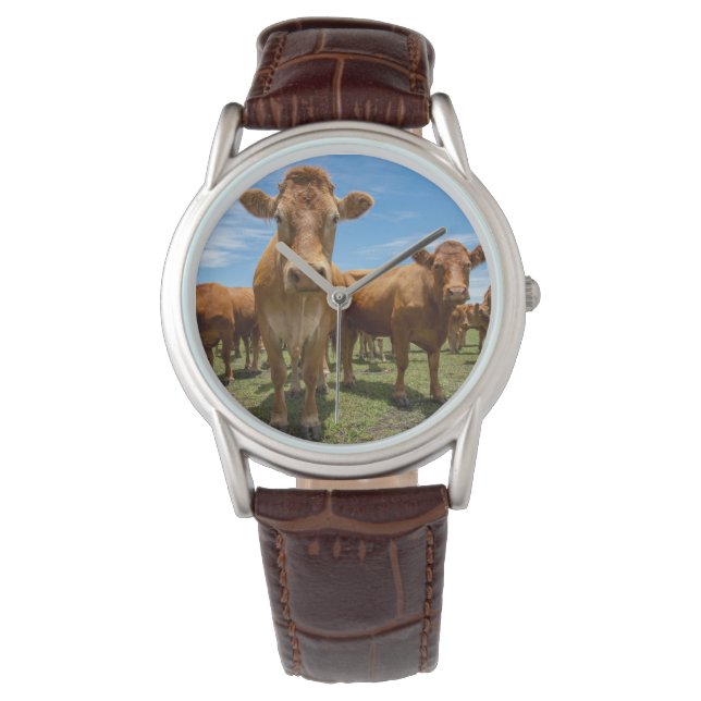 Montre Farms | Brown cow (devant)