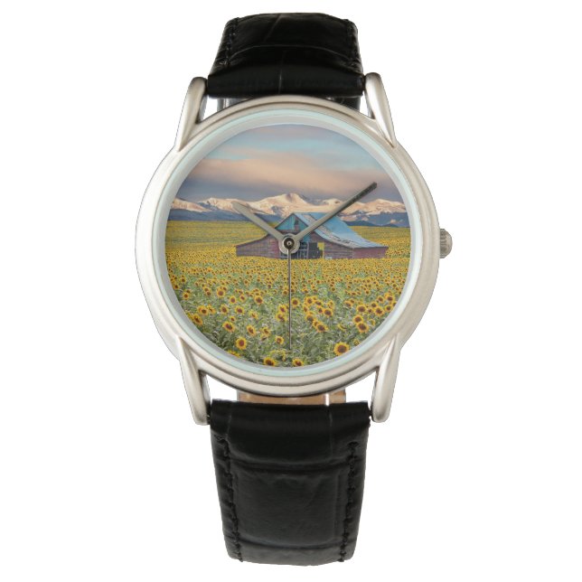 Montre Farms | Field (devant)