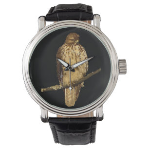 Montre Faucon coupé la queue par rouge