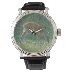 Montre faun, bébé cerf