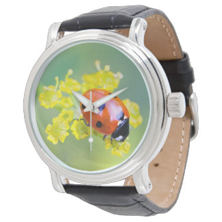 Montre femme au sommet