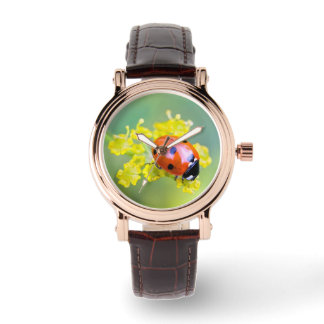 Montre femme au sommet