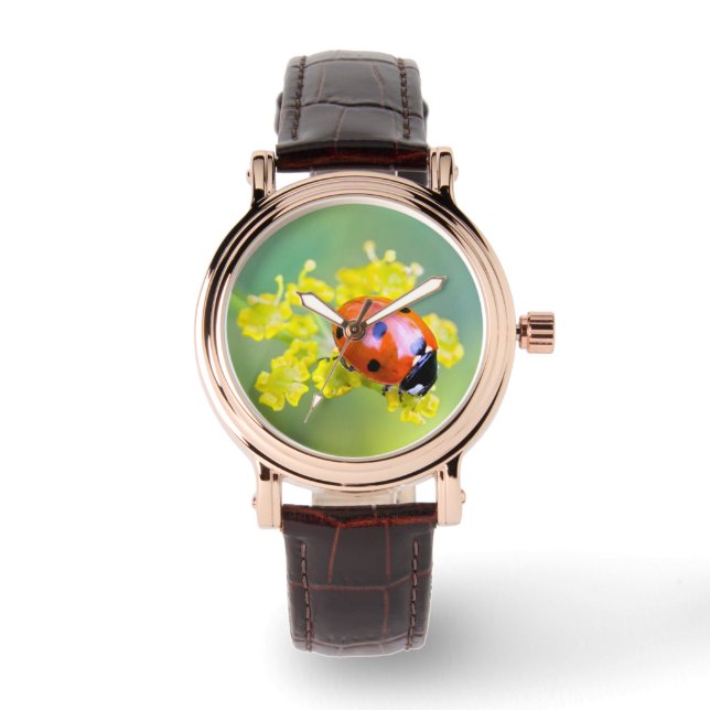 Montre femme au sommet (Recto)