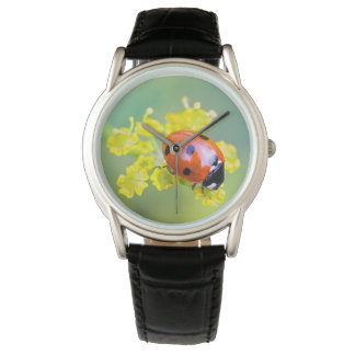 Montre femme au sommet