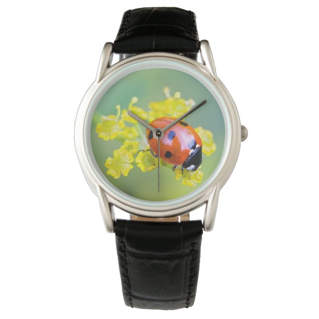 Montre femme au sommet (devant)