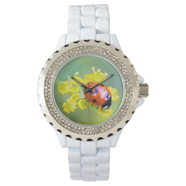 Montre femme au sommet (devant)