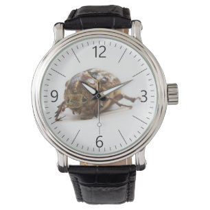 Montre Femme de Polyphylla fullo beetle