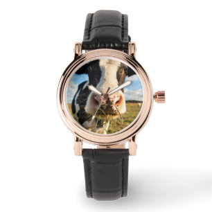 Montre Fermes Vache Holstein Chewing
