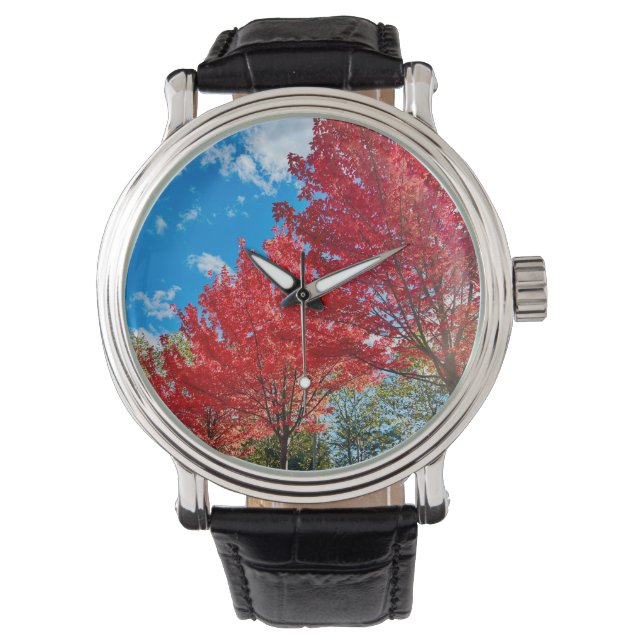 Montre Feuilles D'Arbre Rouge Lumineux En Automne (devant)