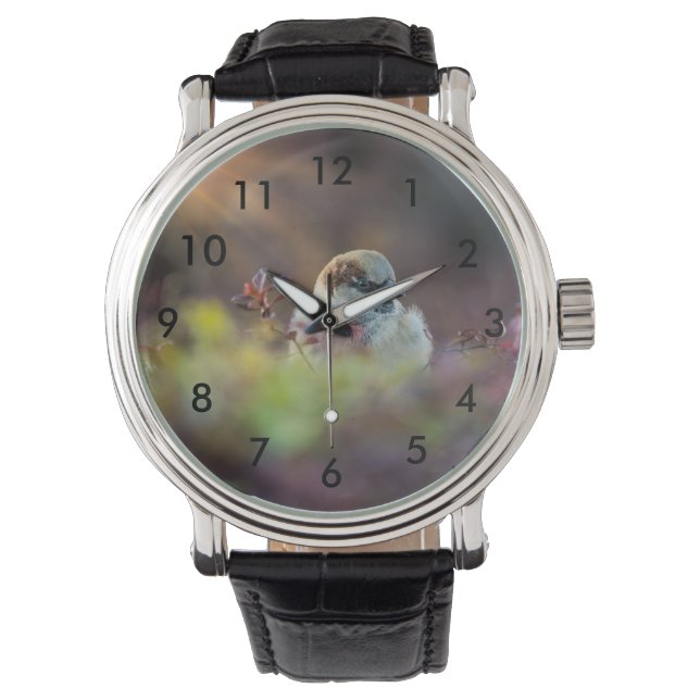 Montre Finition bain soleil (devant)
