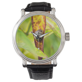 Montre fixation calme