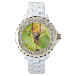 Montre fixation calme
