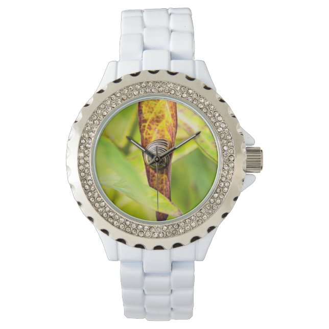 Montre fixation calme (devant)