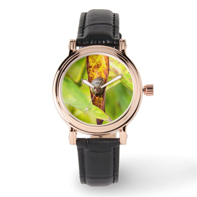 Montre fixation calme (Recto)