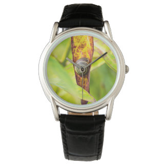 Montre fixation calme