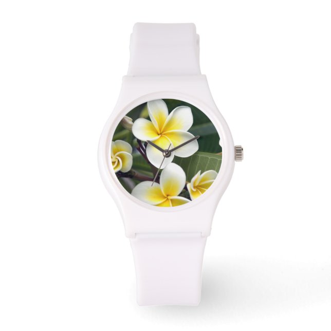 Montre Fleur de frangipanier Îles Cook (Recto)