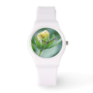 Montre Fleur ouverte de l'Echinacea