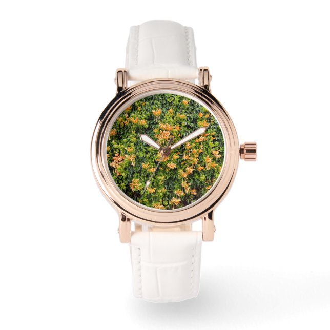 Montre Fleurs De Trompette Orange Sur Un Mur, (Recto)