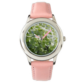 Montre Fleurs d'hydrangées vertes