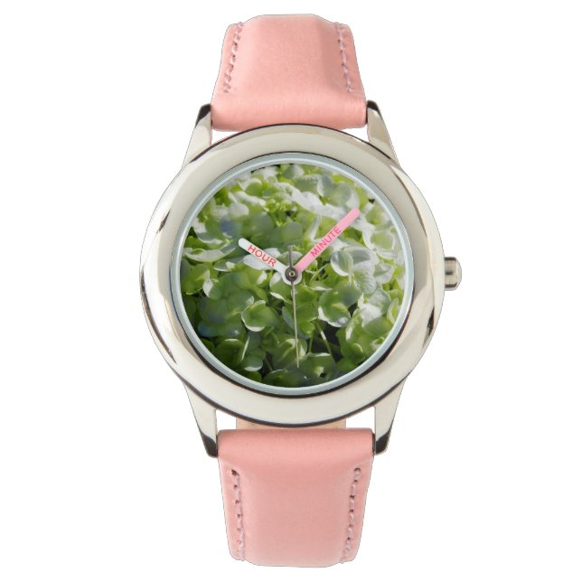 Montre Fleurs d'hydrangées vertes (devant)
