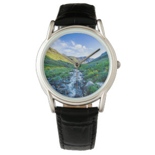 Montre Fleurs Fleurs sauvages en Colorado