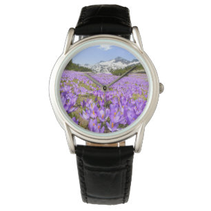 Montre Fleurs Parc de montagne de Crocus Pirin Bulgarie