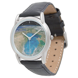 Montre Floraison De Phytoplancton Bleu En Mer Noire