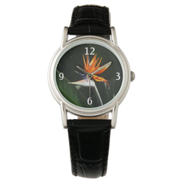 Montre Flower tropical orange paradise (devant)