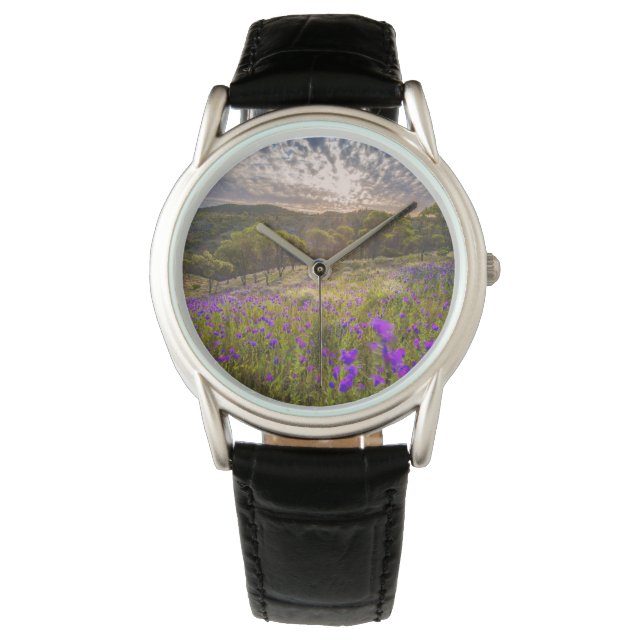Montre Flowers (homonymie) | Ordre d'Australie (devant)