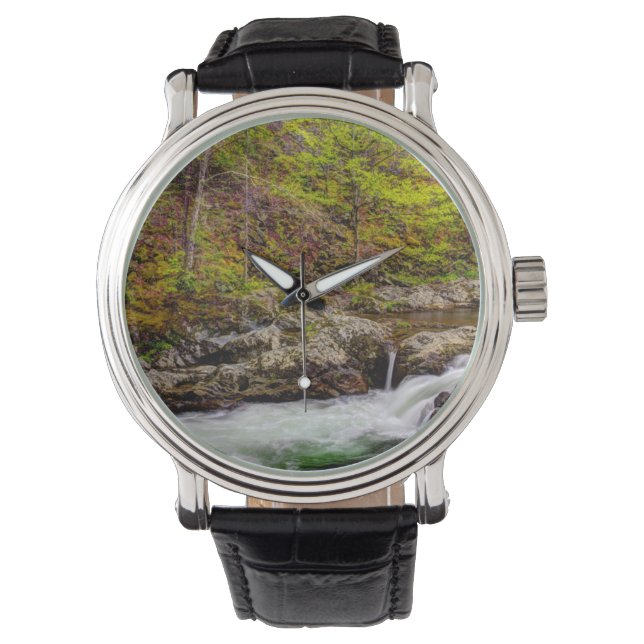 Montre Flux Forestier Dans Les Montagnes Fumées (devant)