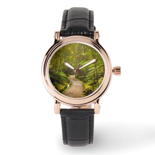 Montre Forêt | Chemin De Marche Dans La Forêt (Recto)