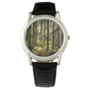 Montre Forêt Forêt boréale Suède