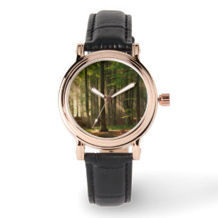 Montre Forêt Forêt d'automne