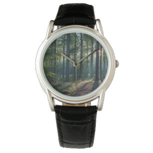 Montre Forêt Forêt Noire Allemagne